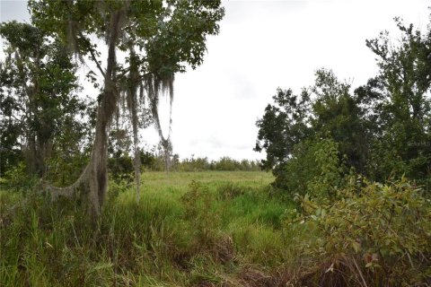 Terreno en venta en Hawthorne, Florida № 1399729 - foto 10