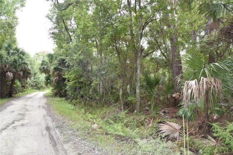 Terreno en venta en Hawthorne, Florida № 1399731 - foto 20