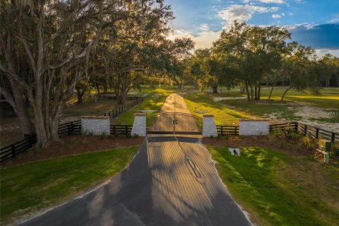 Terreno en venta en Newberry, Florida № 1431945 - foto 1