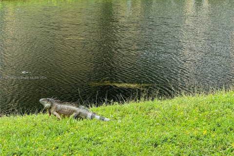 Condo in Sunrise, Florida, 1 bedroom  № 1402616 - photo 11