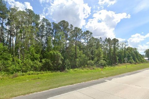 Terreno en venta en DeLand, Florida № 1376889 - foto 6