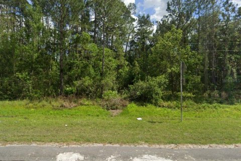 Terreno en venta en DeLand, Florida № 1376889 - foto 5