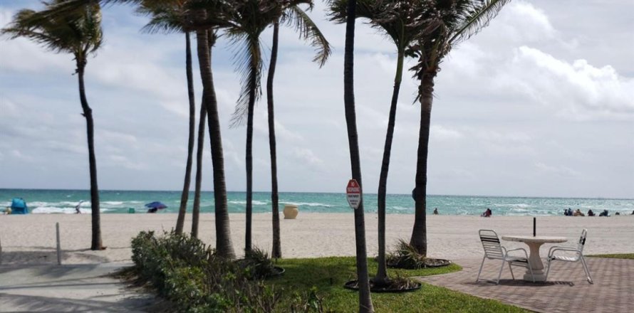 Condo in Hollywood, Florida, 1 bedroom  № 1021981