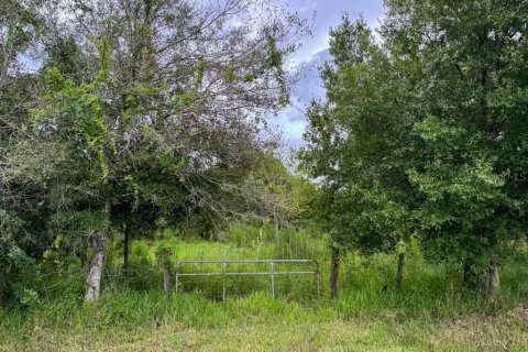 Terreno en venta en Okeechobee, Florida № 1374517 - foto 1