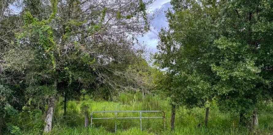 Terrain à Okeechobee, Floride № 1374517