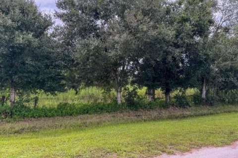 Terreno en venta en Okeechobee, Florida № 1374517 - foto 3