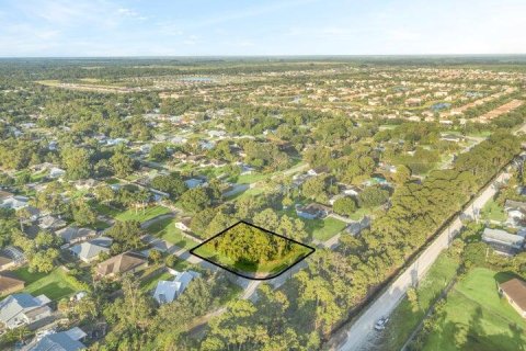 Купить земельный участок в Виро-Бич, Флорида № 1080397 - фото 3