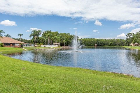 Condo in New Port Richey, Florida, 2 bedrooms  № 1255682 - photo 24