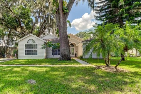 Villa ou maison à vendre à Lutz, Floride: 4 chambres, 206.8 m2 № 1383730 - photo 1