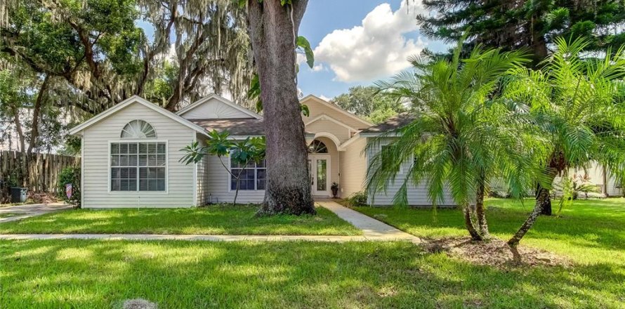 House in Lutz, Florida 4 bedrooms, 206.8 sq.m. № 1383730