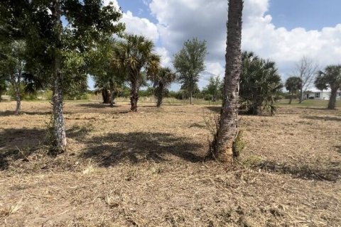 Купить земельный участок в Палм-Бей, Флорида № 1026897 - фото 7