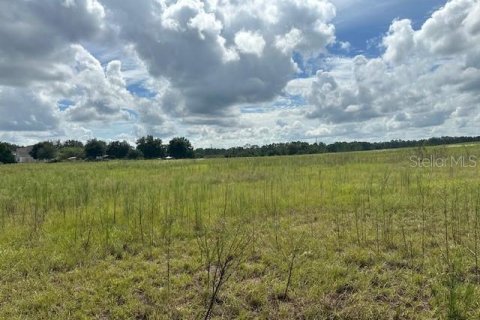 Terrain à vendre à Groveland, Floride № 1380913 - photo 4