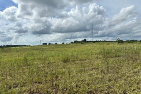 Terrain à vendre à Groveland, Floride № 1380913 - photo 5