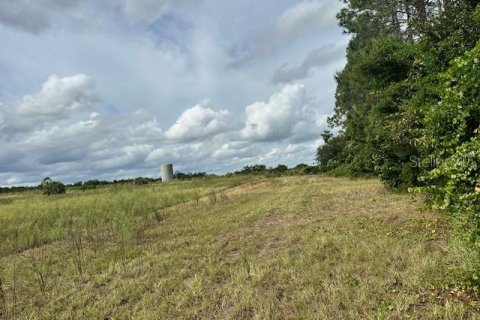 Terrain à vendre à Groveland, Floride № 1380913 - photo 6