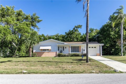 Villa ou maison à vendre à New Port Richey, Floride: 2 chambres, 95.88 m2 № 1380872 - photo 1