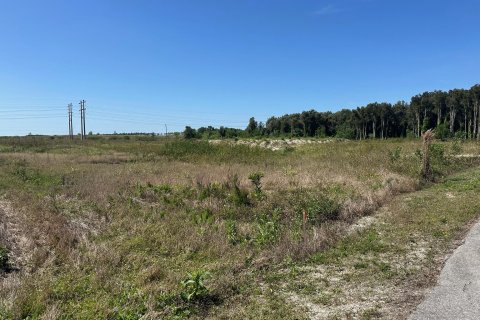 Land in The Acreage, Florida № 1060234 - photo 6