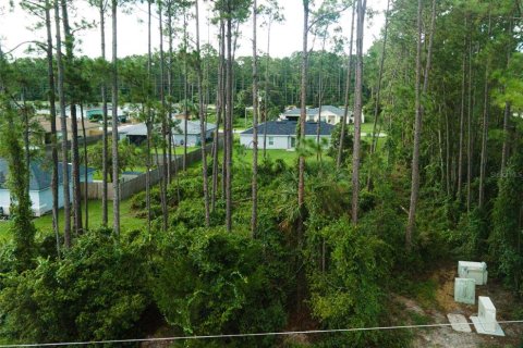 Terreno en venta en Palm Coast, Florida № 1341691 - foto 6