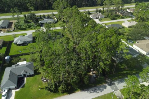 Terreno en venta en Palm Coast, Florida № 1341691 - foto 10