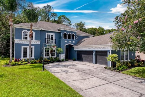 Villa ou maison à vendre à Wesley Chapel, Floride: 6 chambres, 402.45 m2 № 1285791 - photo 3