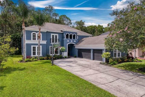 Villa ou maison à vendre à Wesley Chapel, Floride: 6 chambres, 402.45 m2 № 1285791 - photo 1