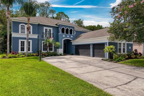 Villa ou maison à vendre à Wesley Chapel, Floride: 6 chambres, 402.45 m2 № 1285791 - photo 4