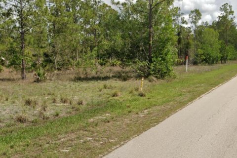 Купить земельный участок в Лихай-Эйкерс, Флорида № 1051323 - фото 2