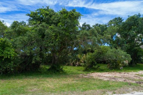 Land in Palm Coast, Florida № 1210677 - photo 14