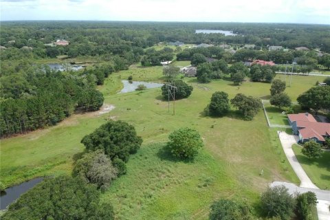 Land in Odessa, Florida № 1349075 - photo 2