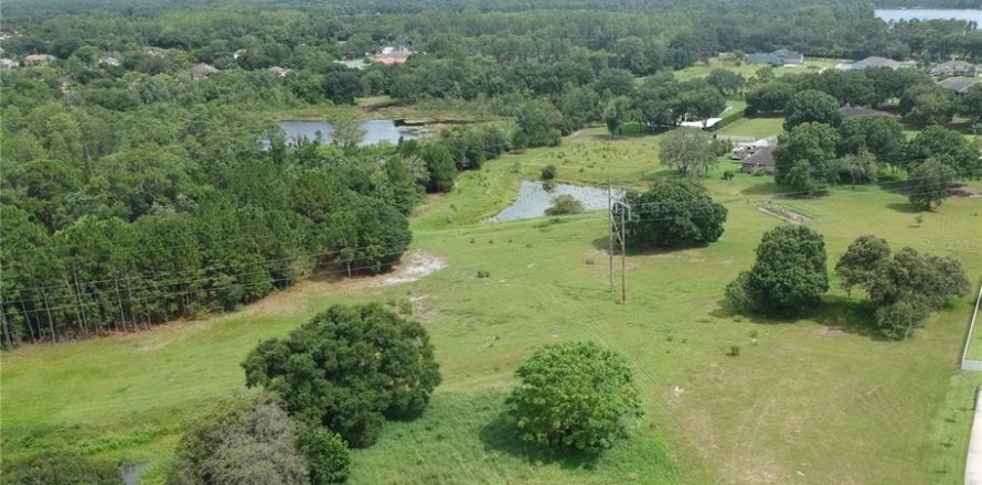 Terreno en Odessa, Florida № 1349075