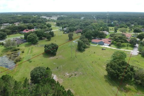 Terreno en venta en Odessa, Florida № 1349075 - foto 4