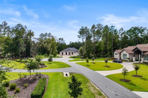 Land in Newberry, Florida № 1352855 - photo 9