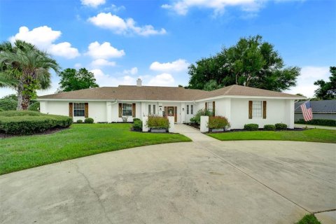 Villa ou maison à vendre à Apopka, Floride: 3 chambres, 257.06 m2 № 1352823 - photo 1