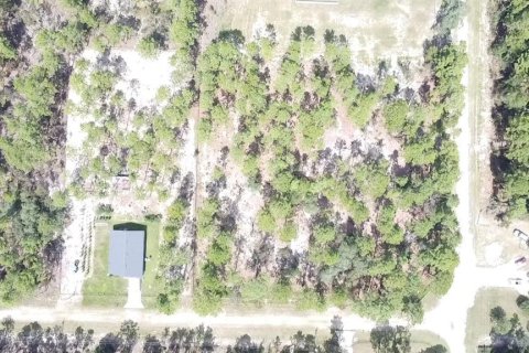 Land in Ocala, Florida № 1381088 - photo 5