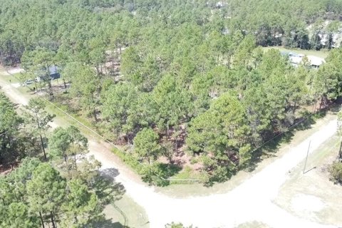 Terreno en venta en Ocala, Florida № 1381088 - foto 2