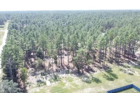 Terreno en venta en Ocala, Florida № 1381088 - foto 4