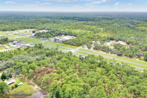 Terreno en venta en Homosassa, Florida № 1381090 - foto 2