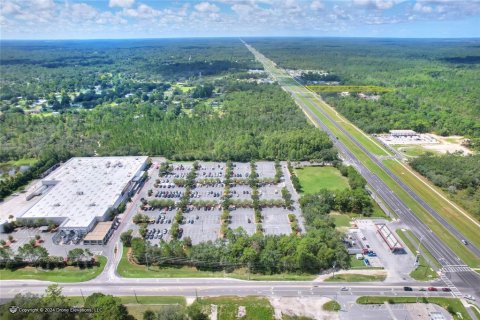 Land in Homosassa, Florida № 1381090 - photo 6