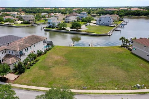 Land in Palm Coast, Florida № 1356288 - photo 5