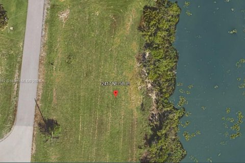 Land in Cape Coral, Florida № 1050497 - photo 10