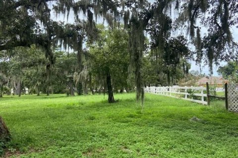 Terrain à vendre à New Port Richey, Floride № 1357585 - photo 6