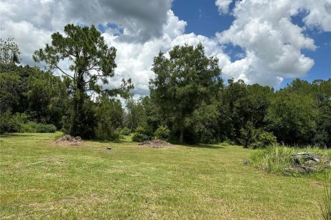 Land in Kathleen, Florida № 1276415 - photo 7