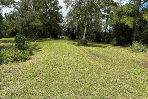 Land in Kathleen, Florida № 1276415 - photo 2