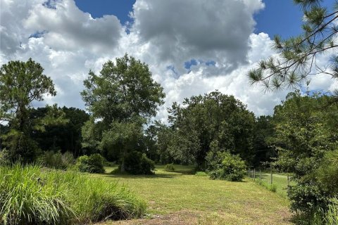 Terrain à vendre à Kathleen, Floride № 1276415 - photo 3