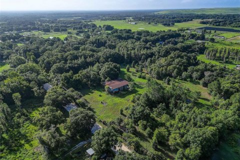 Land in Zephyrhills, Florida № 1296579 - photo 14