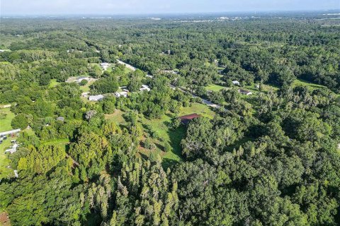 Land in Zephyrhills, Florida № 1296579 - photo 6