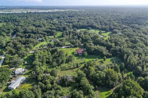 Land in Zephyrhills, Florida № 1296579 - photo 8