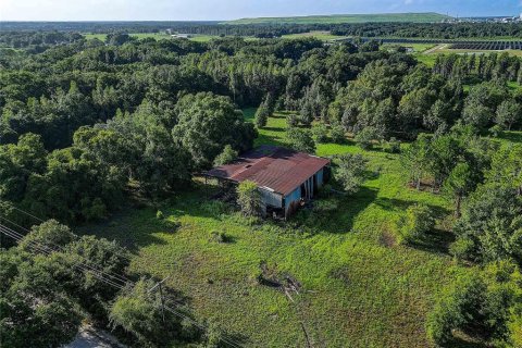 Land in Zephyrhills, Florida № 1296579 - photo 10