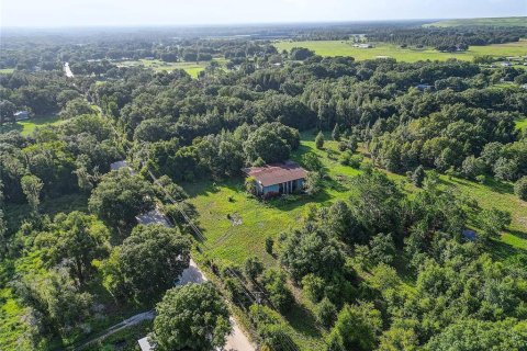 Land in Zephyrhills, Florida № 1296579 - photo 15