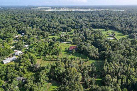 Land in Zephyrhills, Florida № 1296579 - photo 7