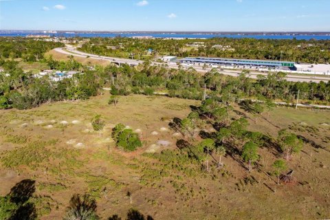 Terrain à vendre à Punta Gorda, Floride № 1067245 - photo 19